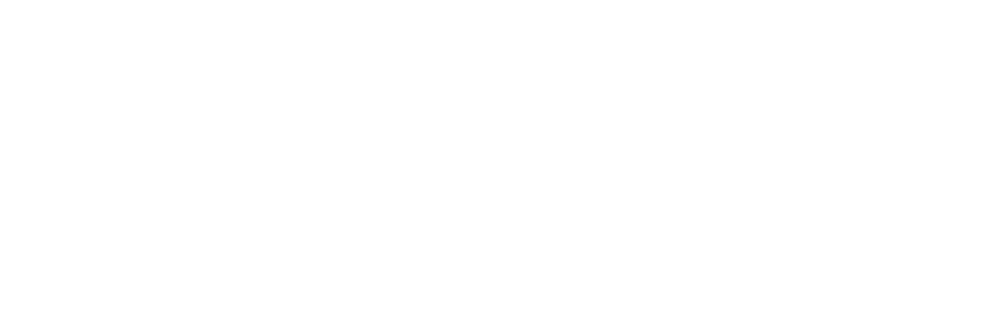 Steam